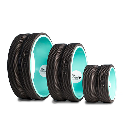 CHIRP WHEEL PLUS 3 PACK (6" 10" 12")