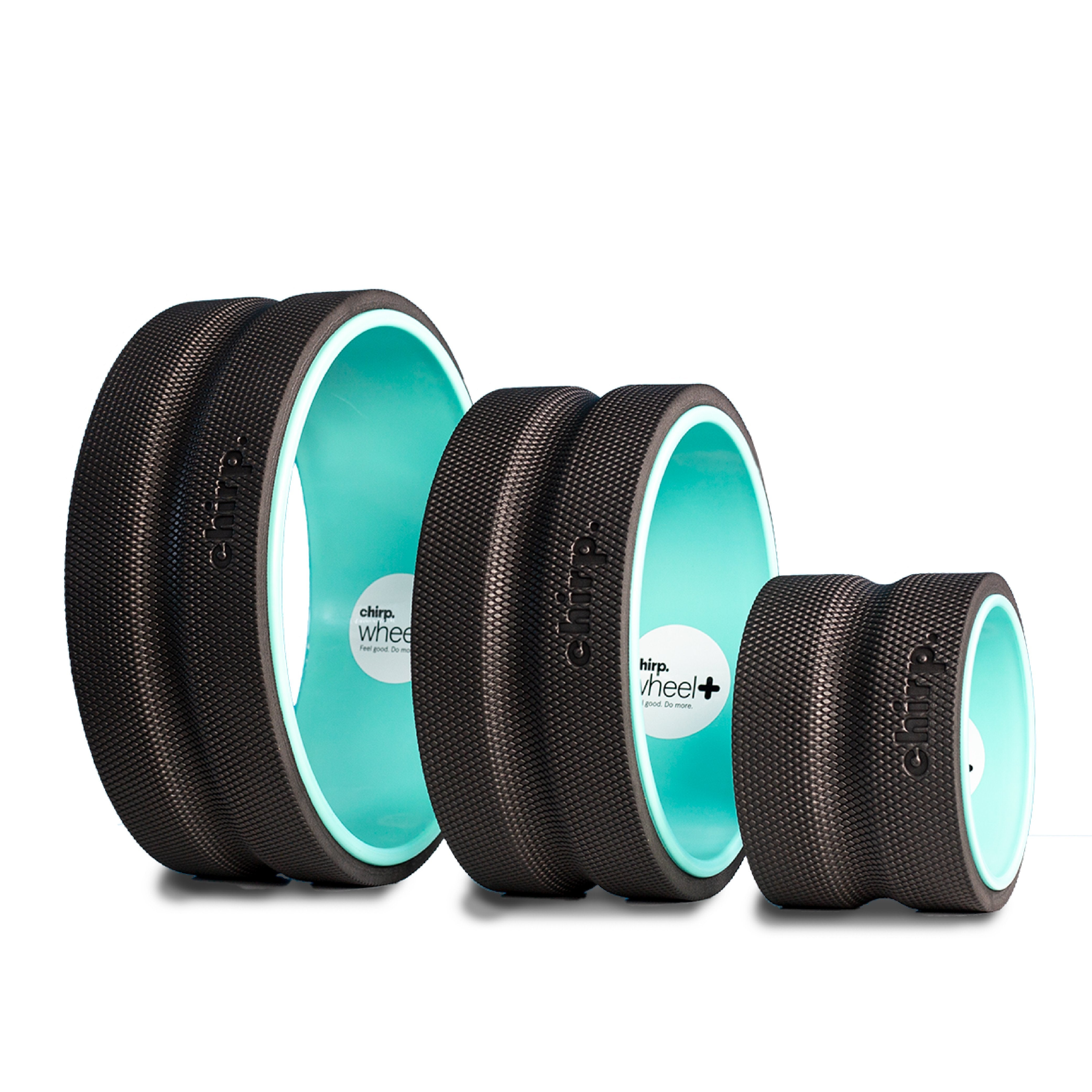 CHIRP WHEEL PLUS 3 PACK (6" 10" 12")